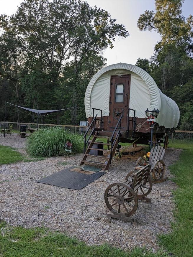 Rooterville Animal Sanctuary Melrose Exterior photo